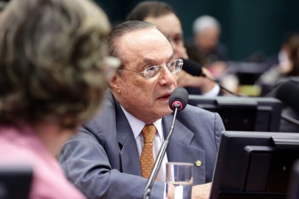 Paulo Maluf  — Foto: Cleia Viana/Câmara dos Deputados