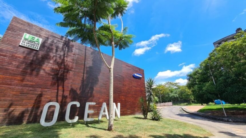 Samsung Ocean abre vagas em cursos gratuitos de tecnologia