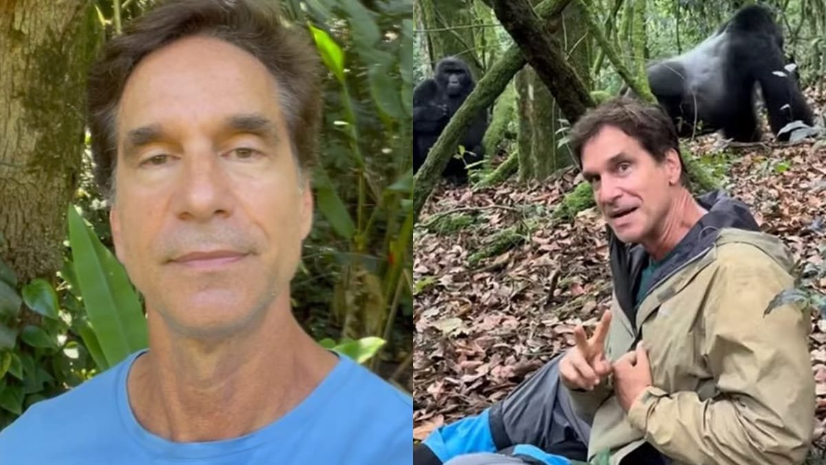 Victor Fasano surpreende web ao posar ao lado de gorilas em floresta africana