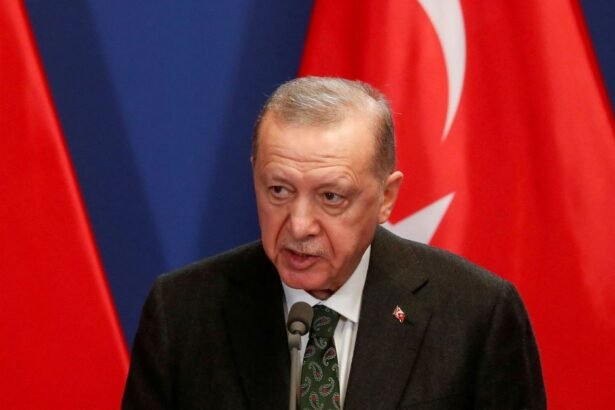 Em teste para Erdogan, Turquia realiza eleições municipais neste domingo (31)