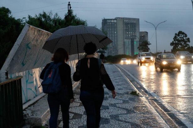 Entenda como índice pluviométrico dimensiona água da chuva