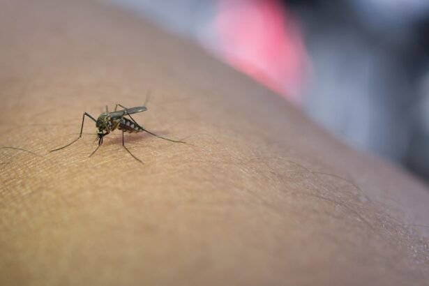 Inovação contribui para o combate à dengue