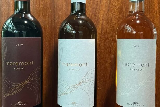 Maremonti e vinícola Castorani apresentam nova linha de vinhos exclusivos