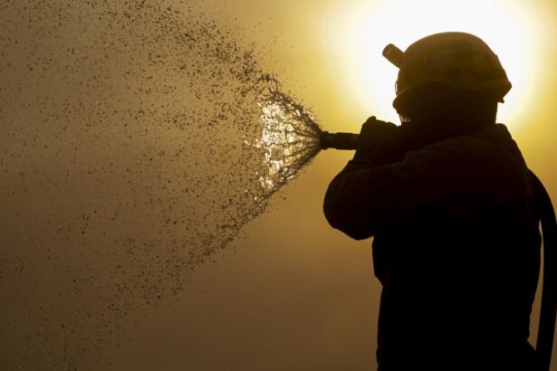 STF determina plano de combate a incêndios no Pantanal e na Amazônia