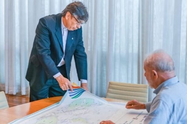 Marcio Pochmann apresenta mapa a Lula — Foto: Divulgação/IBGE