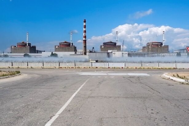 Usina nuclear de Zaporizhzhia — Foto: Serviço de Imprensa do Ministério da Defesa da Rússia via AP