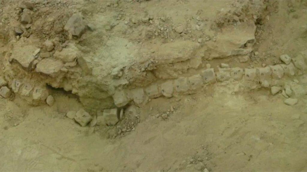 Esqueleto de plesiossauro na Síria