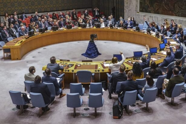 Conselho de Segurança da ONU — Foto: Bebeto Matthews/AP