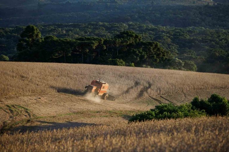 Rodolfo Buhrer/Reuters