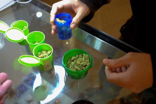 França autoriza tratamentos com cannabis medicinal a partir de 2025