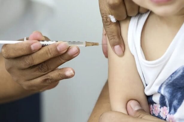 Crianças de 6 meses a 6 anos de idade fazem parte de um dos grupos prioritários que podem receber a vacina contra o vírus da Influenza no  sábado (13) — Foto: Marcelo Camargo/Agência Brasil
