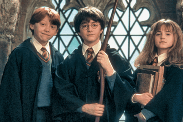 Harry Potter: exposição interativa chega a São Paulo em agosto; veja