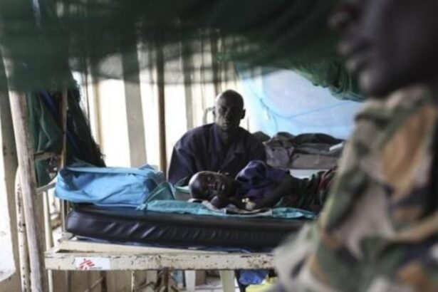 Malária: redução na incidência da doença estagnou, alerta OMS