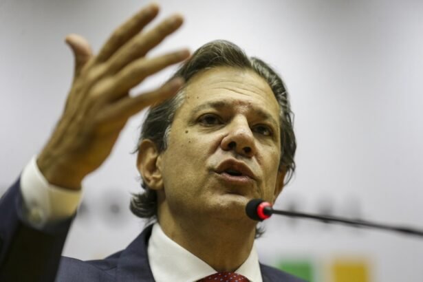 Vamos levar a demanda dos governadores do Nordeste a Lula, diz Haddad | Brasil