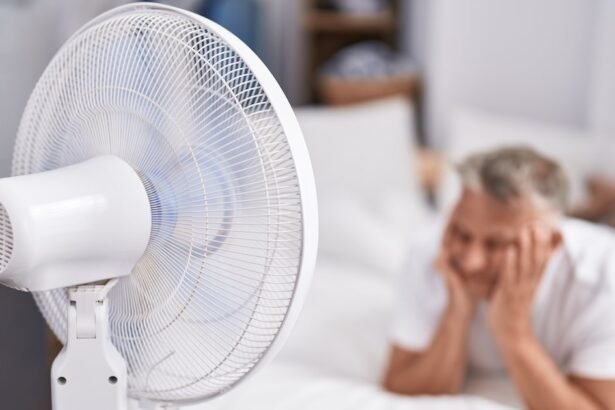 Ventilador não ajuda a amenizar impactos do calor extremo à saúde, mostra estudo