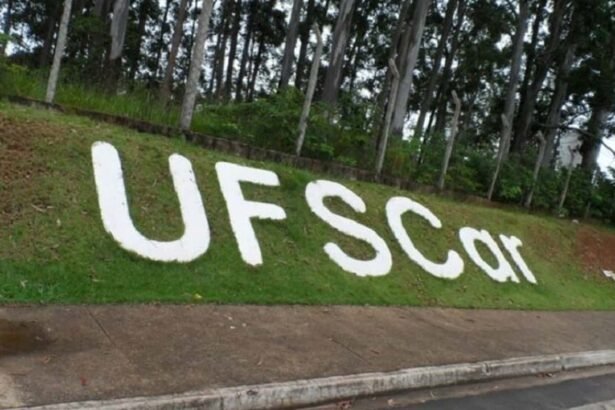 100 cursos gratuitos da UFSCar para fazer hoje mesmo; veja lista