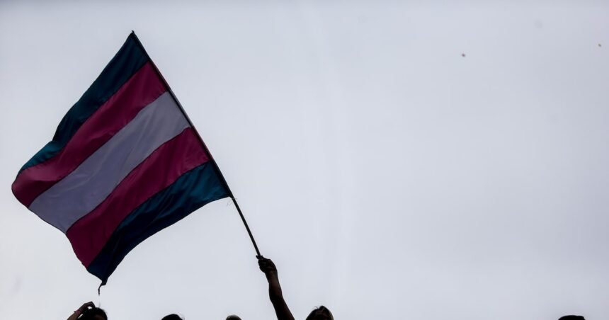 Saúde altera classificações de gênero de procedimentos médicos para ampliar acesso a pessoas trans