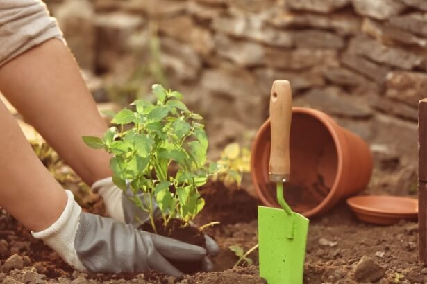 Jardinagem é uma ótima atividade para a saúde; conheça os benefícios para a mente e o corpo
