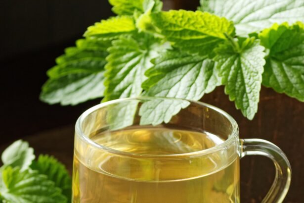 CHA DE ERVA CIDREIRA NAO USAR APOS ESSA DATA 01-10-20224 EM CASO DE DUVIDA CONSULTE Lemon balm herbal tea in glass cup with fresh plant close, melissa officinalis herb is used for sleep, as digestive, anxiety, stress remedy, closeup, naturopathy and natural medicine concept photo teatian /adobe.stock